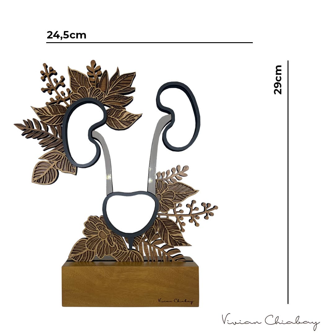 Sistema Urinário Rim_T Troféu Nature Sistema Urinário