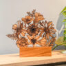 Troféu Floral
