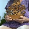floral vó 2 Troféu Floral Vó